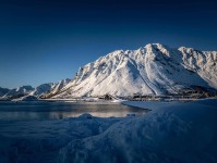 关于蘑菇视频：很多文章都没提到的关键点是什么？绕了一圈的人最后都在看这里