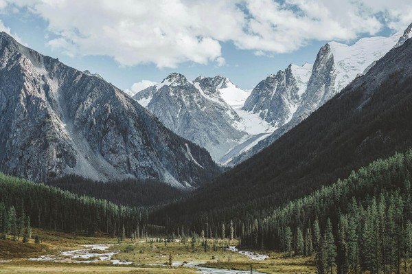 每日大赛ai突然和每日大赛今日扯上关系，越往后越有意思