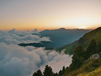 关于蘑菇视频：很多文章都没提到的关键点是什么？绕了一圈的人最后都在看这里