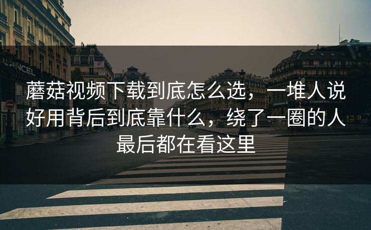 蘑菇视频下载到底怎么选，一堆人说好用背后到底靠什么，绕了一圈的人最后都在看这里